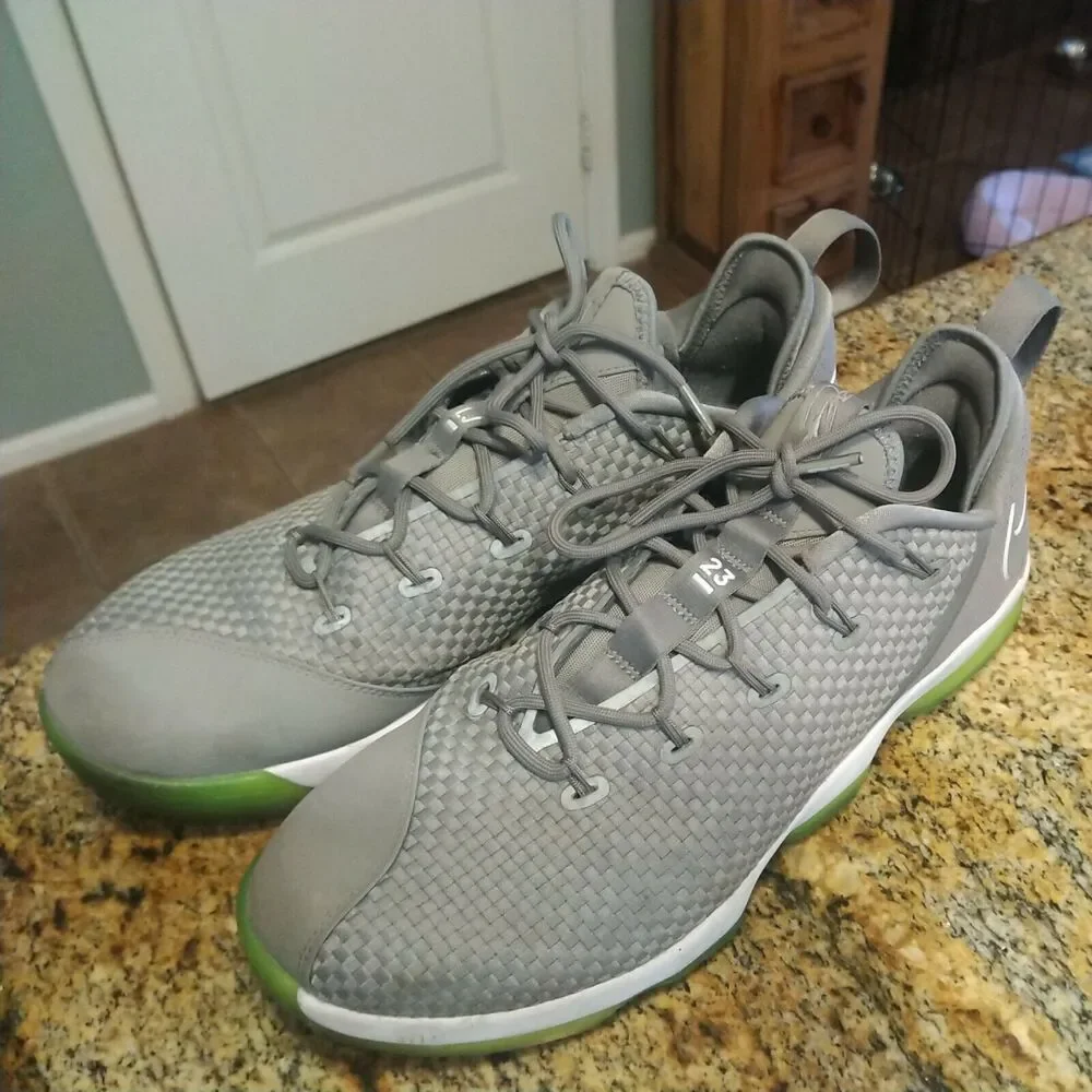 Nike Air Zoom Max LeBron James XIV 14 Low Dunkman Dust Reflect Silver 878636 005